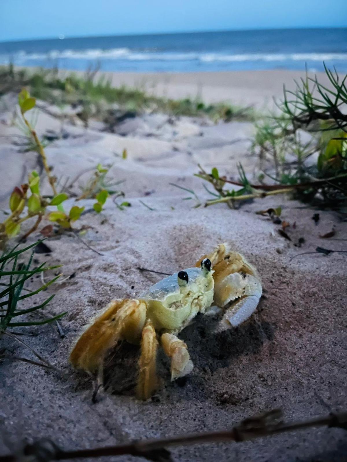 Franz Beach Nova Viçosa Екстериор снимка
